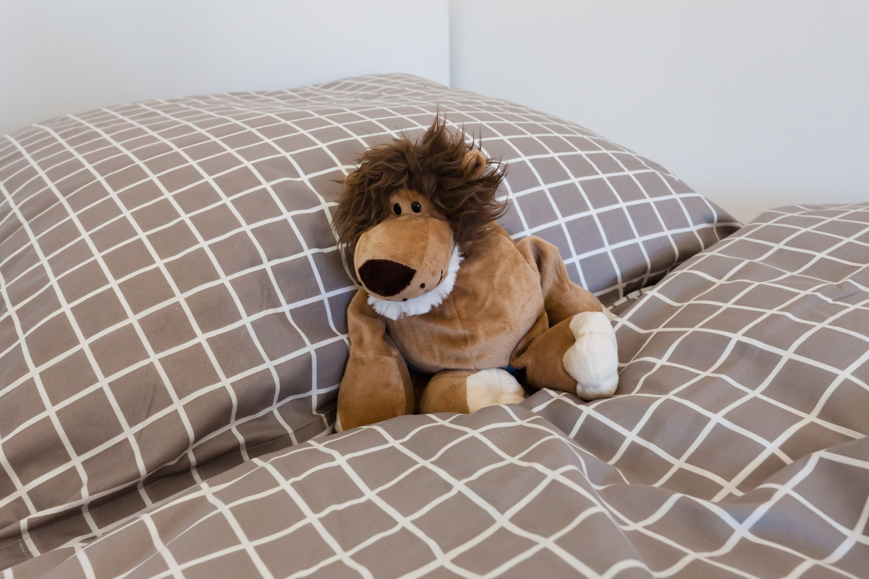 Seeblick Ferienwohnung